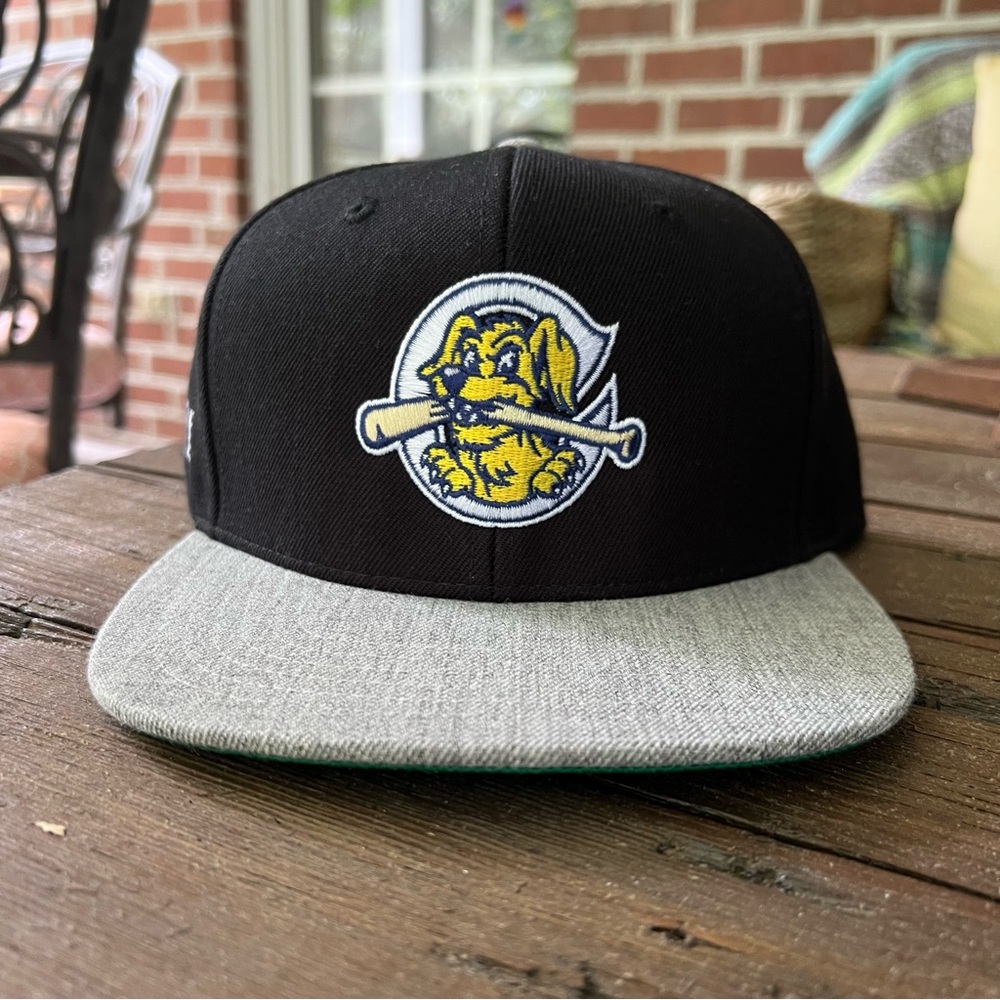 Charleston RiverDogs SnapBack Hat